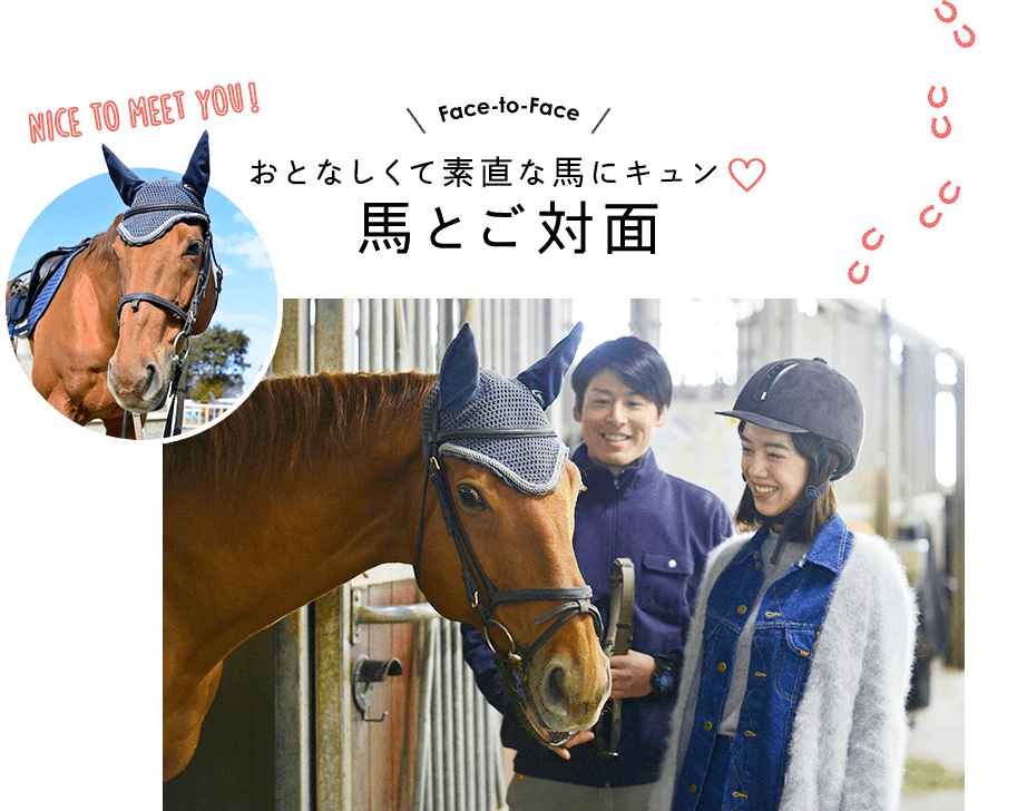 Nice to meet you！ Face-to-Face おとなしくて素直な馬にキュン 馬とご対面