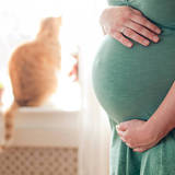 【医師監修】妊婦は猫を飼っちゃダメ？　トキソプラズマ感染のリスクと予防方法