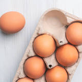 【3択クイズ】スーパーの卵からヒヨコは生まれないの？『科学の教養365』Vol.10