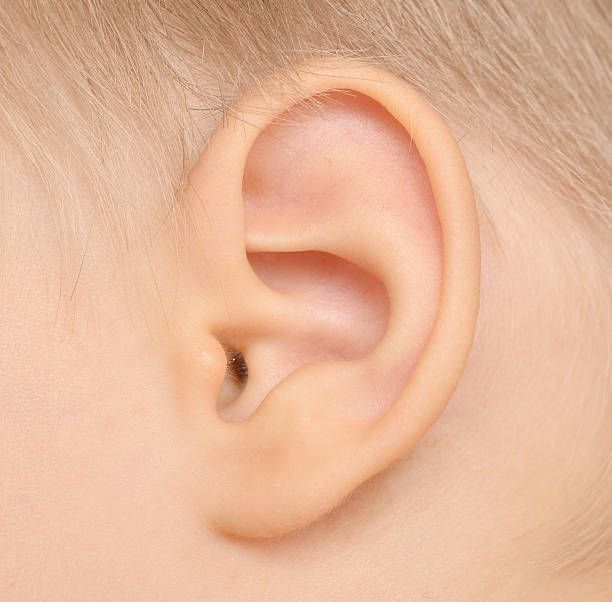 大人 炎 腺 性 下 反復 耳 反復性耳下腺炎 (はんぷくせいじかせんえん)