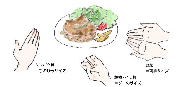 野菜＝両手サイズ　タンパク質＝手のひらサイズ　穀物・イモ類＝グーのサイズ