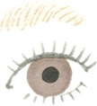 図：全体的に薄い眉毛