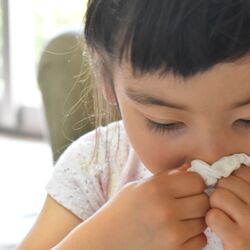 これって花粉症？ くしゃみ、鼻水、目のかゆみ…小児科医が教える子供の花粉症のケア