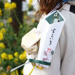 元乃木坂46・衛藤美彩さん、お宮参りで「感動しました」家族写真を公開