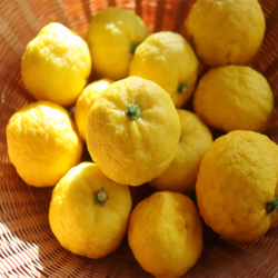 【柚子の保存】おいしさをキープする方法＆長期に楽しめる加工レシピ