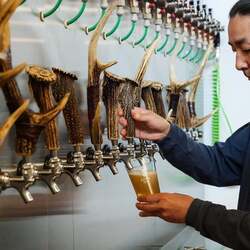 北海道鶴居村のふるさと納税返礼品「Brasserie Knot クラフトビール」とは? 