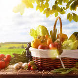 野菜の正しい保存方法と収納の5つのポイント