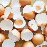 卵の殻でシンク・水筒がピカピカに!?　驚きの掃除・洗い物の裏技　