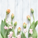 春の新生活を彩る花って？　咲き方の特徴と便利な花瓶