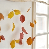 落ち葉で部屋を飾ろう！　子どもと一緒に楽しむ秋色インテリア3選