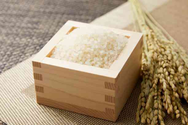 お米の虫の予防法 米びつに虫がわいても食べられる マイナビ子育て