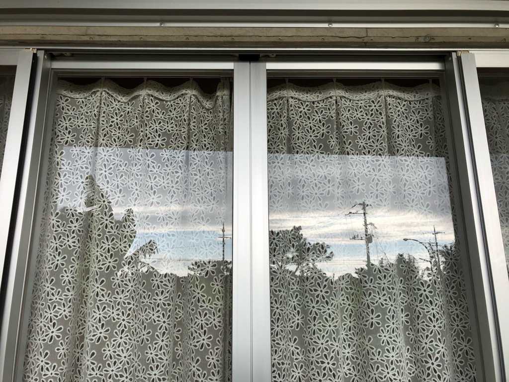 掃除 窓 窓掃除が簡単にできる！窓ガラスがピカピカに輝くオススメの時短技