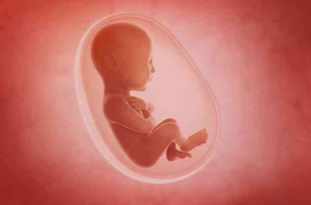 医師監修 胎児の頭が上にある 逆子 の胎動は普通と違う Michill Bygmo ミチル