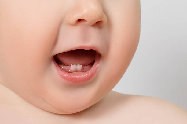 歯科医師監修 赤ちゃんの歯はいつ生える 遅い時や順番が違う時 むし歯予防について マイナビウーマン子育て Goo ニュース