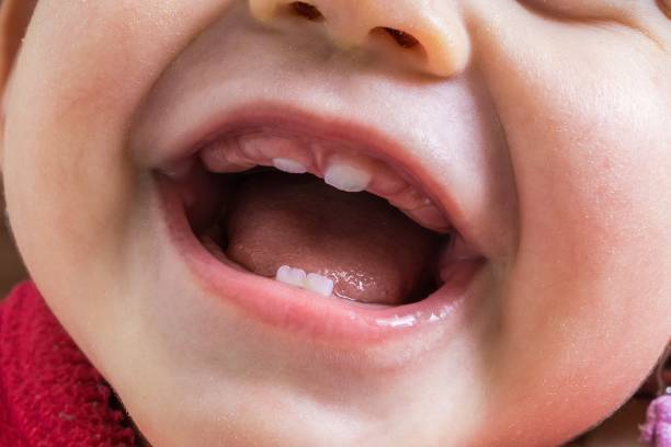 歯科医師監修 赤ちゃんの歯並びが気になる その要因とよくする方法 Michill ミチル