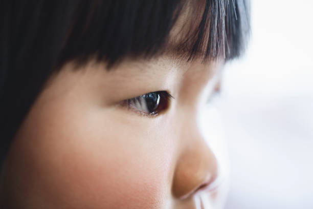 医師監修 子供のはやり目 視力への影響は 感染経路 治療法と予防について マイナビ子育て