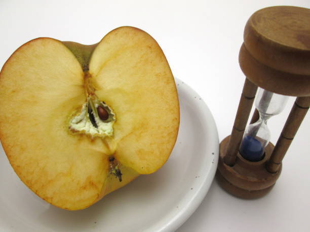 離乳食のりんごはいつから 初期 中期 後期レシピ 管理栄養士監修 マイナビウーマン子育て