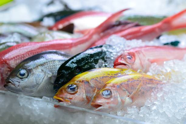 離乳食の魚はいつから 初期 中期 後期レシピ 管理栄養士監修 マイナビ子育て