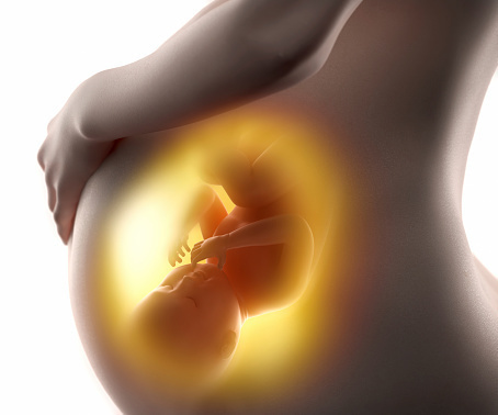 医師監修 妊娠27週の3つの注意点 胎児の胎動の様子とは マイナビウーマン子育て