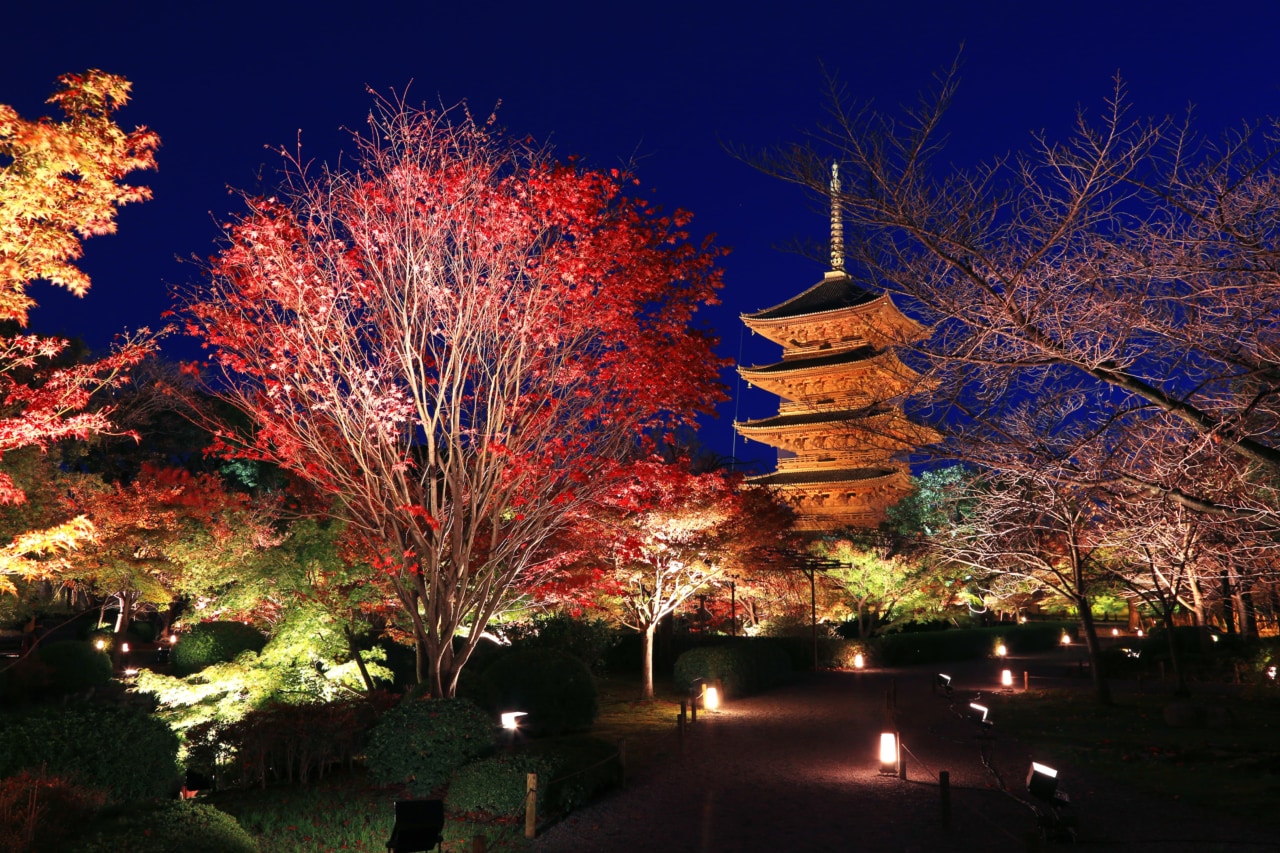 いよいよ紅葉シーズン到来！　「そうだ 京都、行こう。」京都の美しさを味わう特別イベント開催